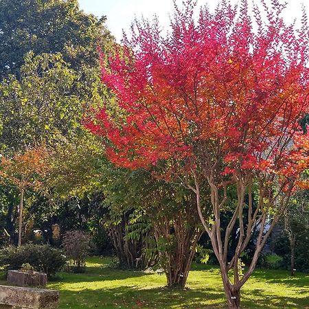 La Demeure D'Ezilda Βίλα Fléac-sur-Seugne Εξωτερικό φωτογραφία