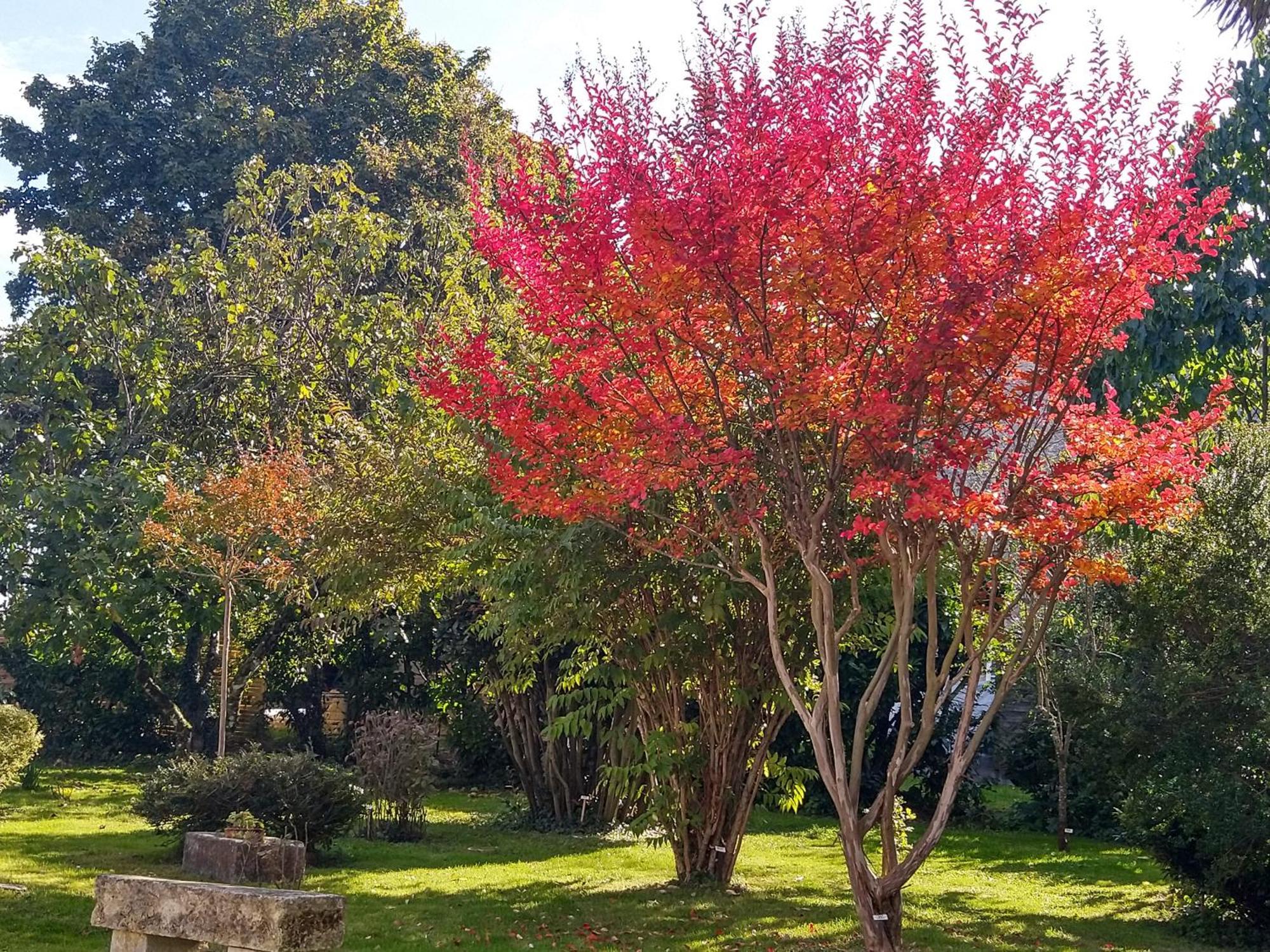 La Demeure D'Ezilda Βίλα Fléac-sur-Seugne Εξωτερικό φωτογραφία